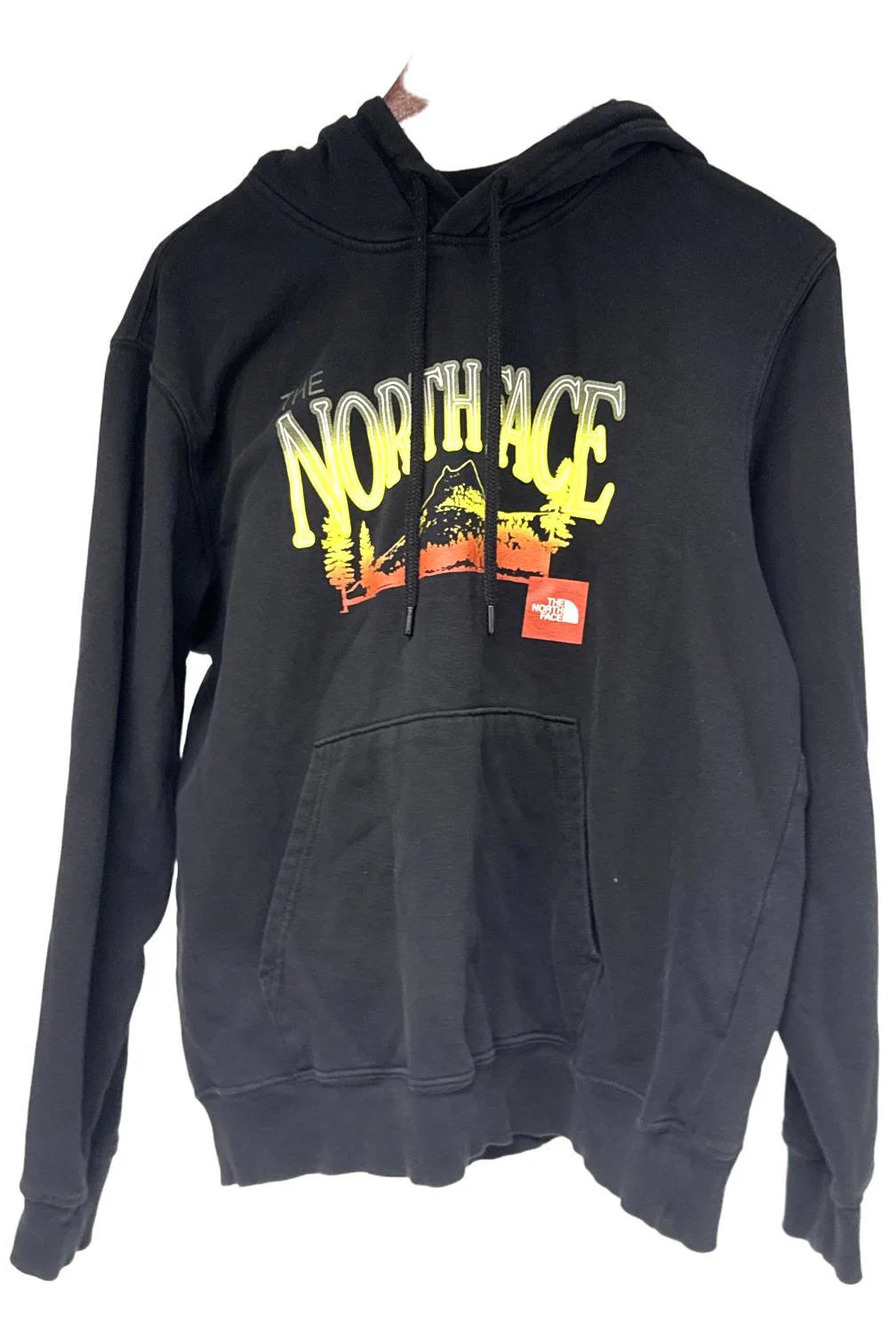 The North Face men's Places We Love Pullover Hoodie Black TNF